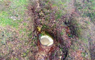 rochas na praia da parede