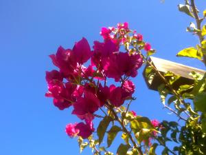 acabadinha de tirar para ti, Kianda!