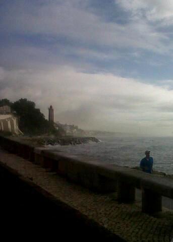 IMG06450-20121207-0930