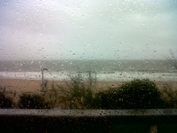 IMG06617-20121214-0916-360x270