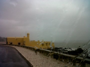 IMG06631-20121214-0923-360X270