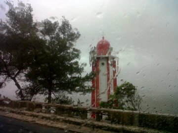 IMG06636-20121214-0926-360x270