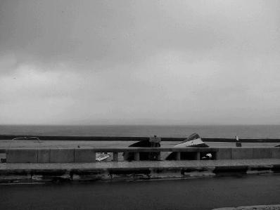 IMG07403-20130125-0919