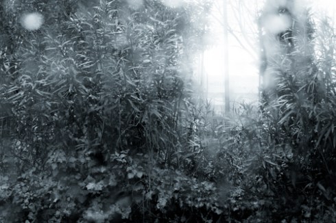 Lisboa - 11.fev.2014