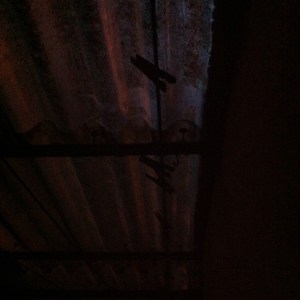 molas para pendurar alegrias